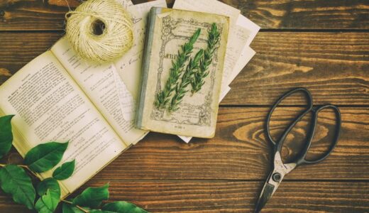 初心者必見！家庭菜園で「100均NG」な道具と「100均で十分」な道具について