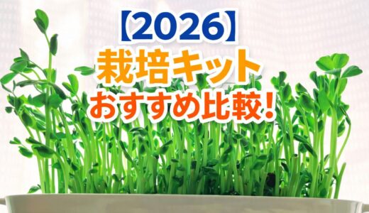【2026】栽培キットおすすめ比較！初心者も室内で失敗しない為に