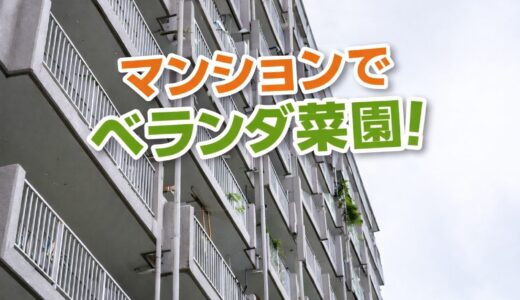 マンションでベランダ菜園！規約を守って楽しむ安心の緑の暮らし