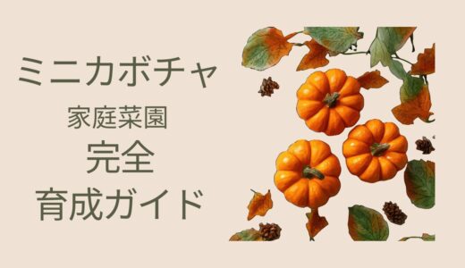 ミニカボチャ　家庭菜園 完全育成ガイド