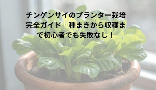 チンゲンサイのプランター栽培 完全ガイド｜種まきから収穫まで初心者でも失敗なし！